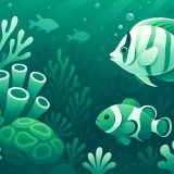 33 интересных факта о коралловых рифах